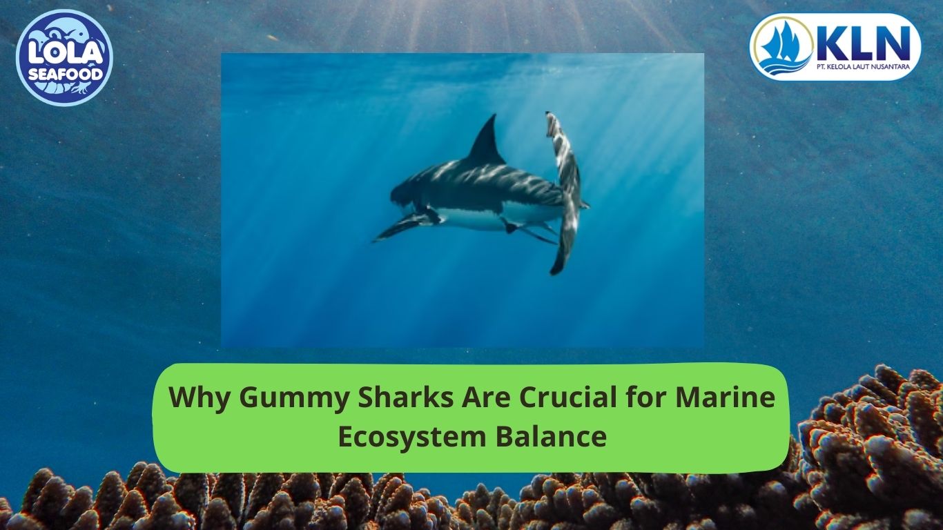 Why Gummy Sharks Are Crucial for Marine Ecosystem Balance